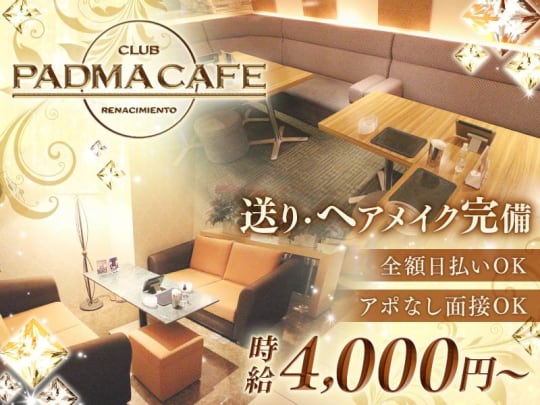 札幌_すすきの_PADMA  CAFE(パドマカフェ)_体入求人