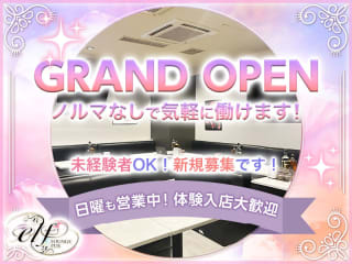 体入掲載LOUNGE PUB elfの画像