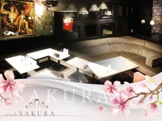 体入掲載Club SAKURAの画像
