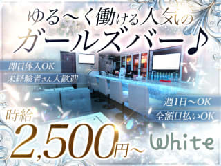 体入掲載WHITEの画像