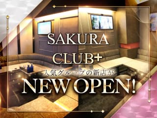 体入掲載SAKURA CLUB＋の画像