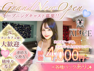 体入掲載Member's ALICEの画像