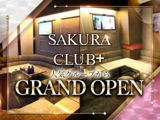 体入掲載SAKURA CLUB＋の画像