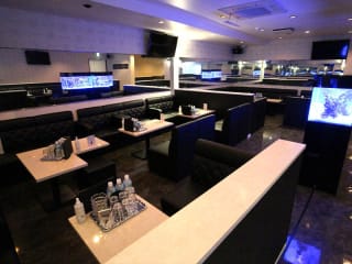 体入掲載club Salvatoreの画像