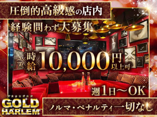 体入掲載GOLD HARLEMの画像