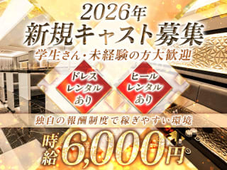 体入掲載ALVAⅡの画像