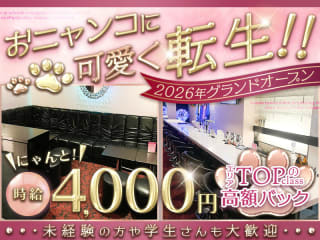 体入掲載Oh! ニャン子倶楽部の画像