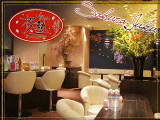 体入掲載NEW CLUB桜塾 の画像