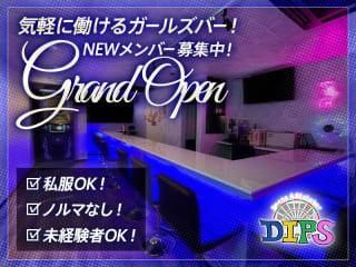 体入掲載DIPSの画像