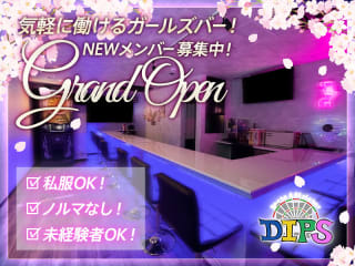 体入掲載DIPSの画像