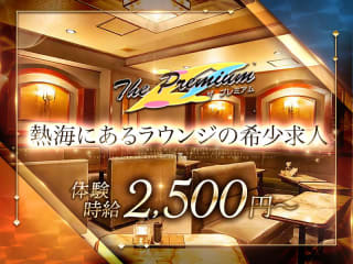 体入掲載ザ・プレミアムの画像