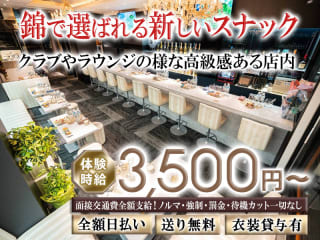 体入掲載SERENAの画像