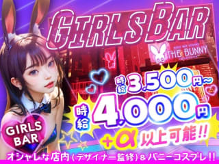 体入掲載THE BUNNYの画像