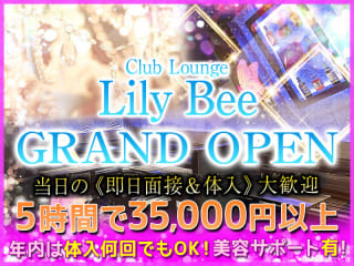 CLUB Lily Bee