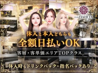 体入掲載CLUB DAHLIAの画像