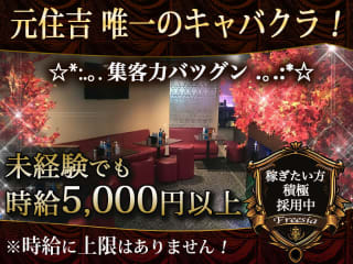 体入掲載club Freesia(フリージア)の画像