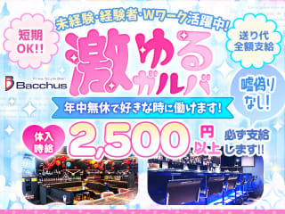 体入掲載Bacchusの画像