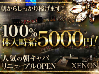 体入掲載【朝キャバ】XENONの画像