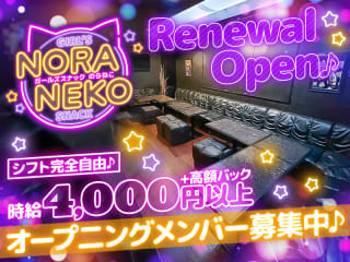 体入掲載NORANEKOの画像