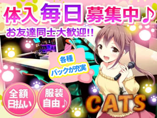 体入掲載Girl's Bar CATSの画像