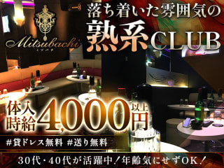 体入掲載Mitsubachiの画像