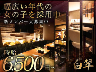 体入掲載白翠の画像