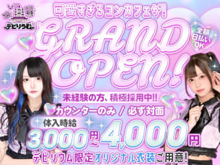 体入掲載デビりうむの画像