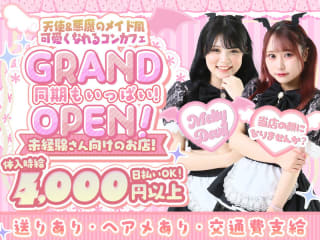 体入掲載Melty Devilの画像