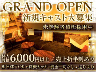 体入掲載lounge 35° Tokyoの画像