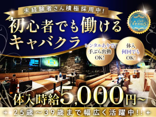体入掲載Club Venusの画像
