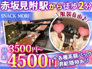 体入掲載MOREの画像