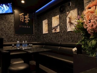 体入掲載CLUB 百華の画像