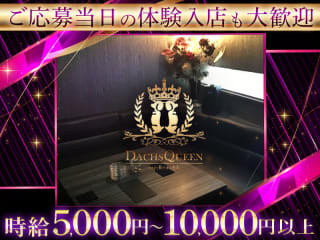 体入掲載Dachs Queenの画像