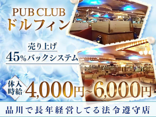 体入掲載Dolphinの画像