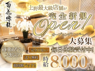 体入掲載百花繚乱の画像