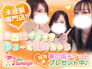 体入掲載Bar Flamingoの画像