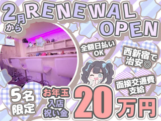 体入掲載Lpの画像