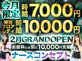 体入掲載Hi-Potionの画像