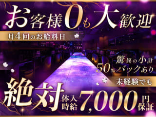 体入掲載Cotton Club の画像