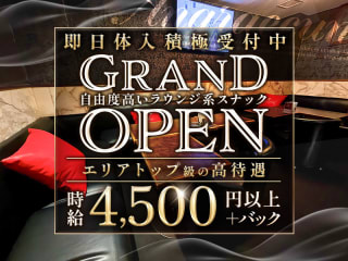 体入掲載Angraecumの画像