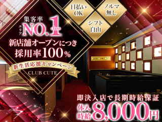 体入掲載CLUB CUTEの画像