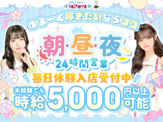 体入掲載Cafe&Bar Velfarreの画像