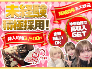 体入掲載Elle Proveの画像