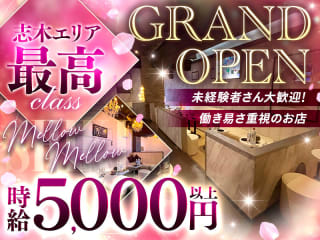 体入掲載Mellow×Mellowの画像