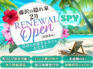 体入掲載Club SPYの画像