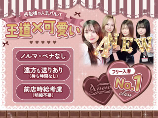 体入掲載Anewの画像