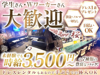 体入掲載Lounge 桜の画像