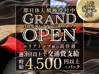 体入掲載Angraecumの画像