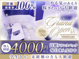 体入掲載White Lilyの画像