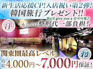 体入掲載牡丹の画像